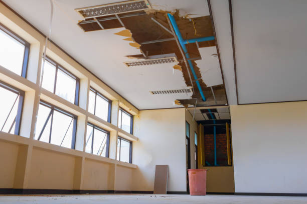 Best Ceiling water damage repair  in Altamonte Springs, FL