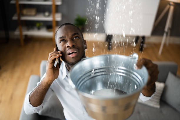  Altamonte Springs, FL Water damage restoration Pros