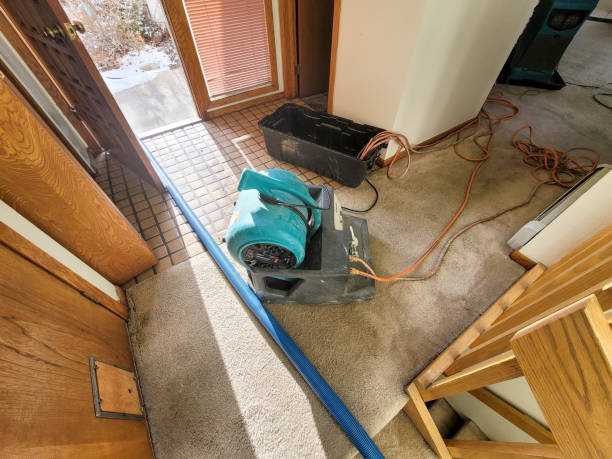 Water damage restoration insurance claims in Altamonte Springs, FL